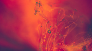 Red yellow water droplets molten - substance free wallpaper