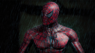 Spiderman rainy matte painting fishnets - a spider man free wallpaper