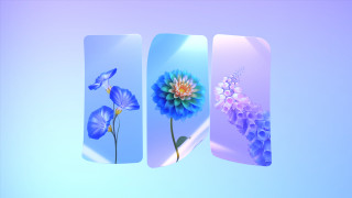 Three flower bookmarks blue purple - cinema 4 d free wallpaper