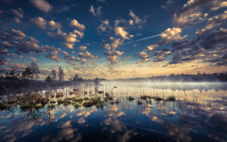 Lake clouds waterplants grass trees - artur tarnowski free wallpaper