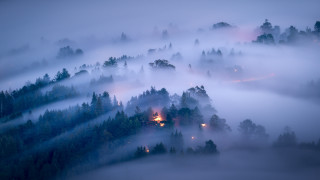 Foggy forest lake hut lighthouse - volumetric fog free wallpaper