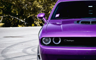 Purple car parking lot trees - a purple car free wallpaper