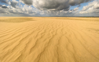 Desert clouds trees beach sunset - sandy free wallpaper
