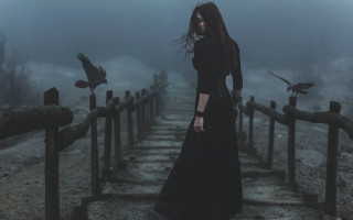 Woman black dress bridge birds - above her free wallpaper