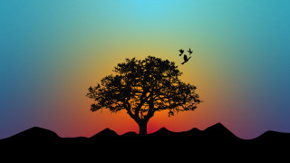 Tree birds sunset mountains minimalist - bird free wallpaper