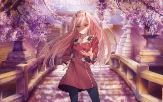 Pink haired woman bridge purple - chizuko yoshida free wallpaper