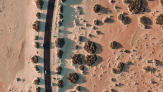 Desert road trees car tiltshift - the road free wallpaper