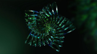 Green black abstract flower generative - c4d free wallpaper