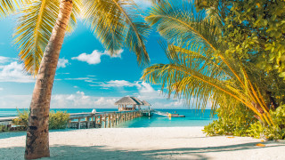 Palm beach dock hut sunny - a sunny day free wallpaper