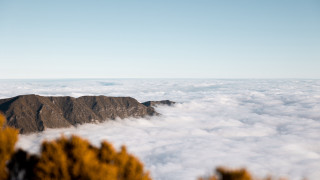 Mountain clouds trees fog sky - a few tree below free wallpaper