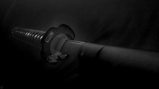Black white photo toy cobra - toy free wallpaper