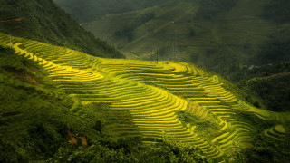 Green field mountain trees ecological - dai xi free wallpaper
