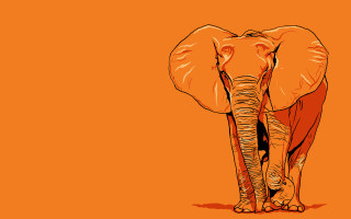 Elephant orange background black spot - an orange background free wallpaper