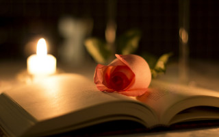 Rose book candle romantic still - romantic free wallpaper