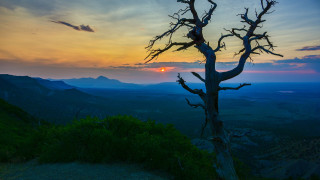 Tree hill sunset clouds nature - a sunset in the background free wallpaper