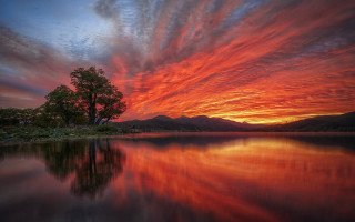 Sunset lake tree mountains sky - a sunset over a lake free wallpaper