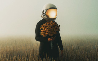Helmet flowers tallgrass surreal space - surreal photography free wallpaper