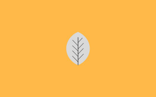 Leaf shadow minimalist vector orange - a single leaf free wallpaper