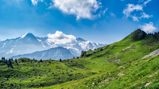 Mountain range grassy slope trees - a mountain range free wallpaper for desktop