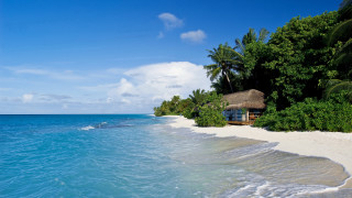 Beach hut shore water trees - the foreground and trees free wallpaper