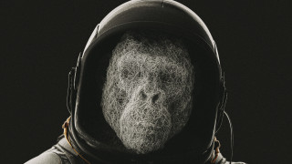 Bearded man hood helmet space - alex petruk ape free wallpaper