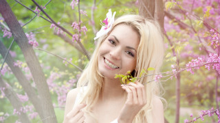 Woman flower hair portrait cherry - anna maria barbara abesch free wallpaper