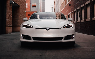 White car brick wall dog - les automatiste free wallpaper