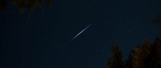 Shooting star night sky trees - star in the sky free wallpaper