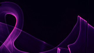 Purple abstract curved lines black - line free wallpaper