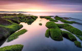Sunset rocky beach moss water 3 - the rock and water free wallpaper