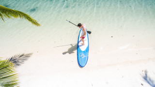 Paddleboard man beach palm ocean - dave allsop free wallpaper