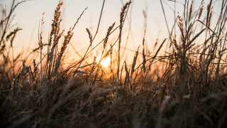 Sunset field grass mountains clouds - the sun free wallpaper