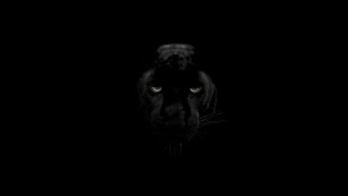 Black panther green eyes dark 2 - green eye free wallpaper