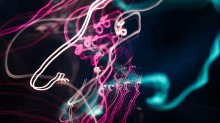 Blurry computer mouse neon lights - neon free wallpaper