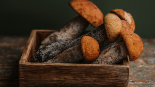 Wooden box mushrooms food photography - top of a table next free wallpaper
