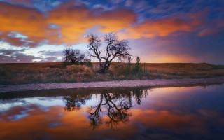 Tree water sunset reflection clouds - a colorful sky free wallpaper