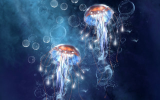 Jellyfish bubbles fantasy space planet - jellyfish free wallpaper