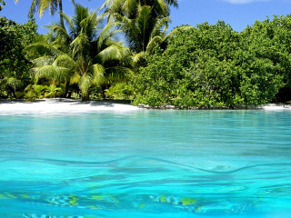 Lake beach trees sky sand - bascove free wallpaper for desktop