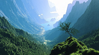 Lone tree mountain valley clouds - a mountain top free wallpaper