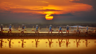 Beach umbrella sunset group people - sunrise free wallpaper