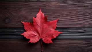 Red maple leaf wooden surface - blunt free wallpaper