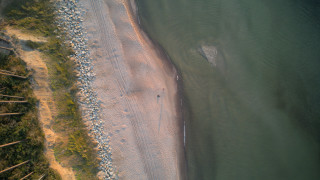 Beach water sandy shore trees - sandy free wallpaper