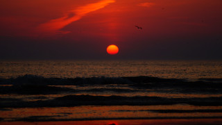 Sunset ocean bird cloud mountain - a sunset over the ocean free wallpaper