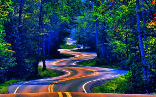 Psychedelic surrealist road trees bushes - a road free wallpaper