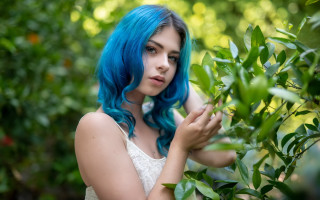 Blue hair branch garden portrait - a branch of a tree free wallpaper