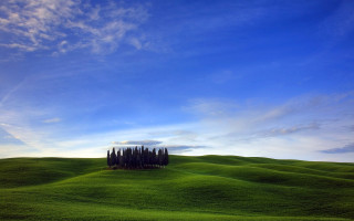 Field trees blue sky clouds 19 - the middle of it free wallpaper