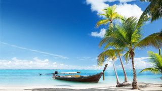 Boat beach palm trees blue - free bikini wallpaper