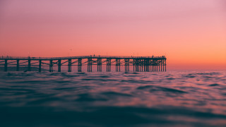 Pier ocean sunset boat bird - neoplasticism free wallpaper