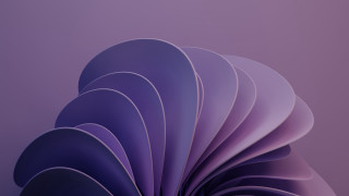 Purple abstract curved design gradient - affinity photo free wallpaper