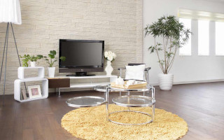 Living room plant tv rug - neutral free wallpaper
